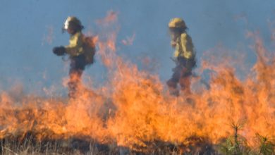 firefighters tackling a wildfire